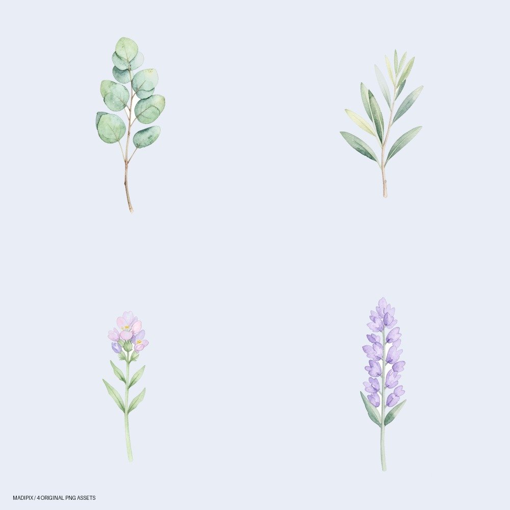 Vista previa de Set de Acuarela Botánica: Ramas y Flores Naturales: un pack de cuatro imágenes PNG.