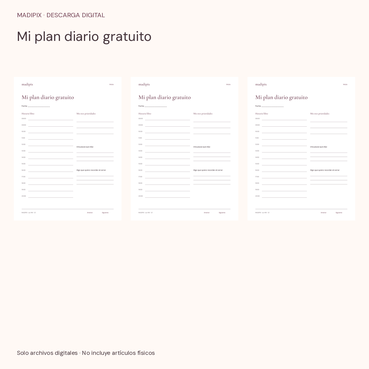 Mi plan diario gratuito · vista del archivo real