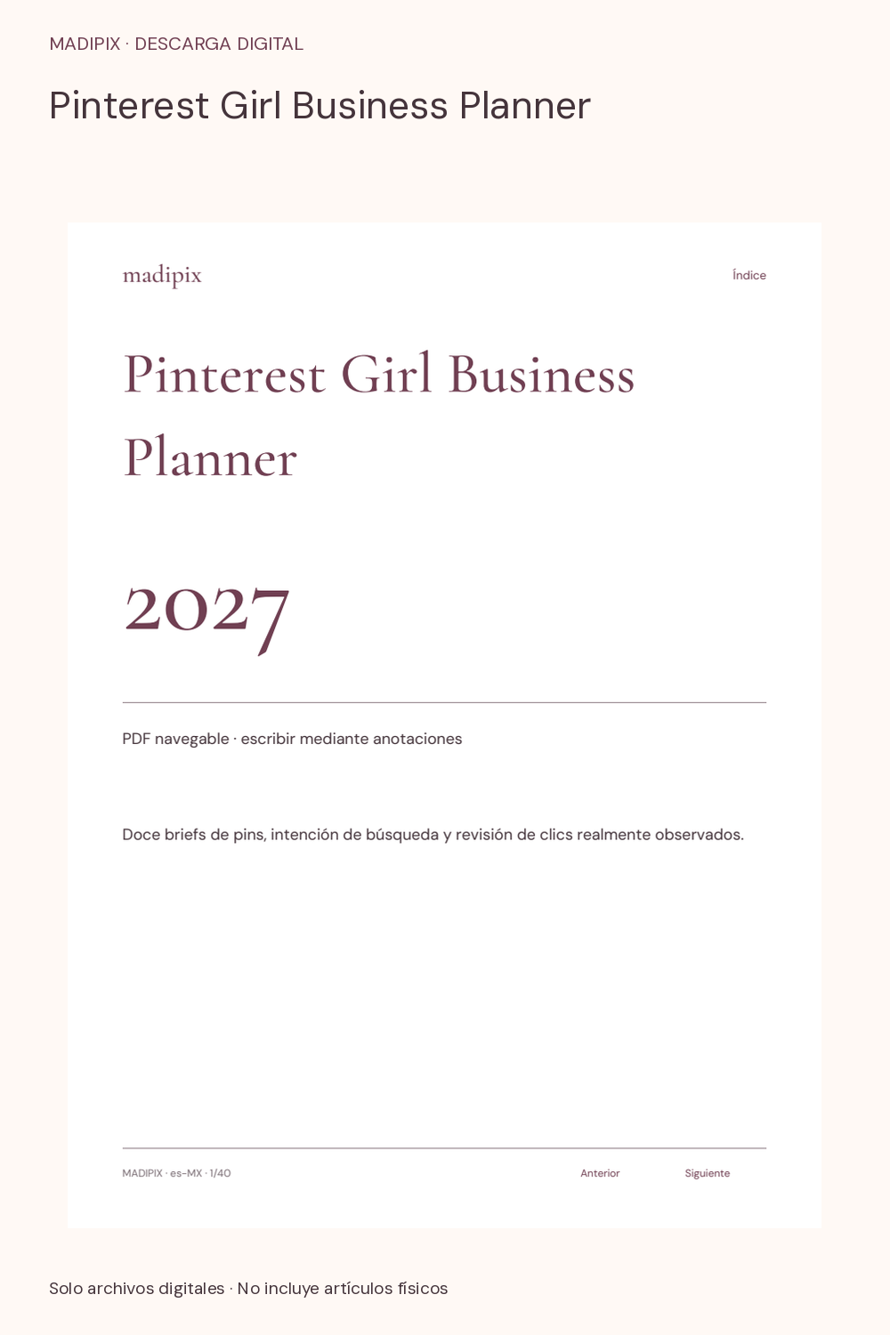 Pinterest Girl Business Planner · vista del archivo real