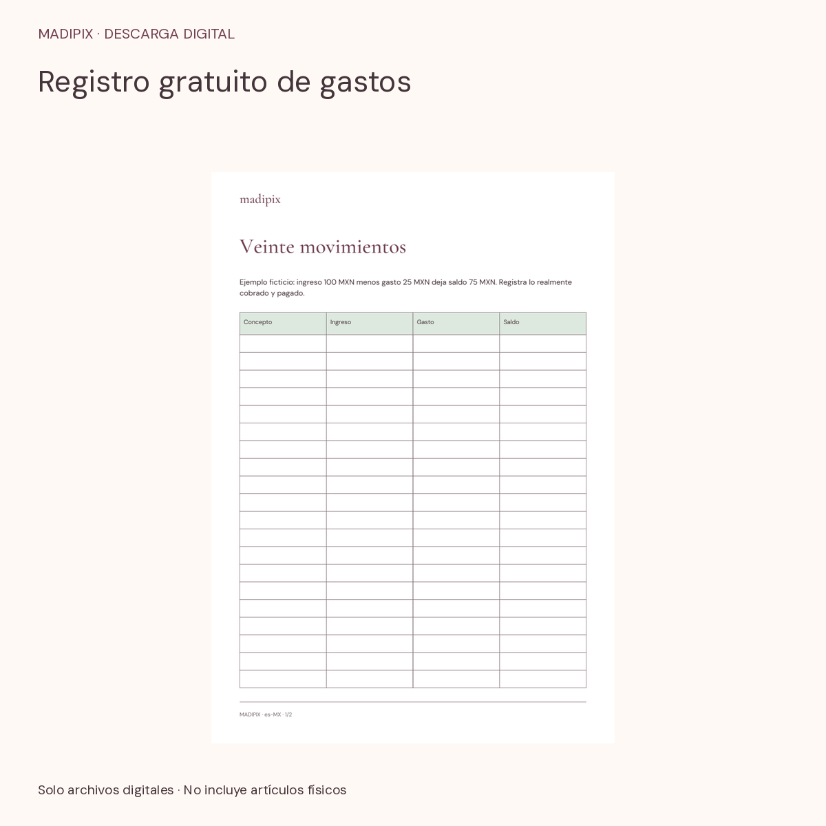Registro gratuito de gastos · vista del archivo real
