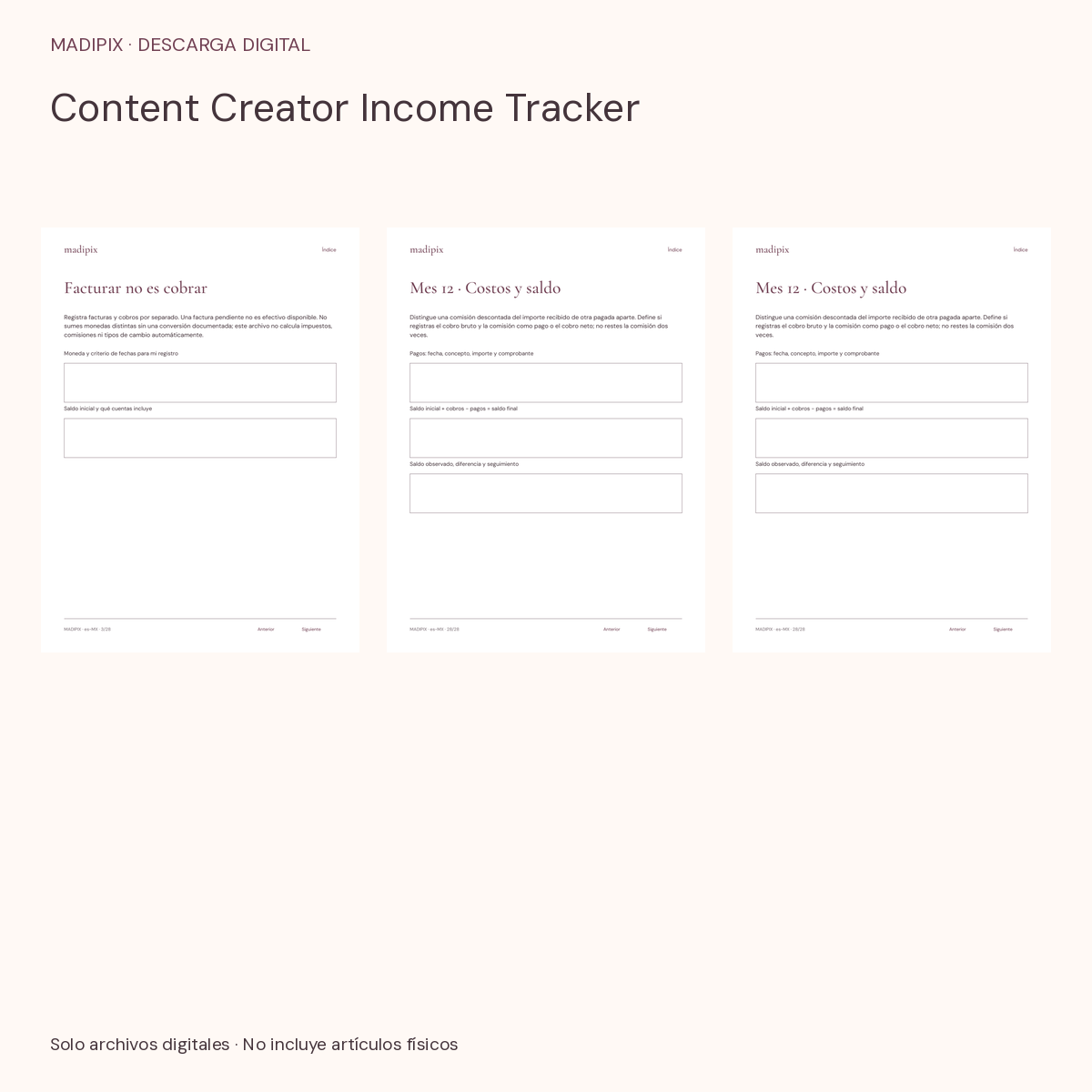Content Creator Income Tracker · vista del archivo real
