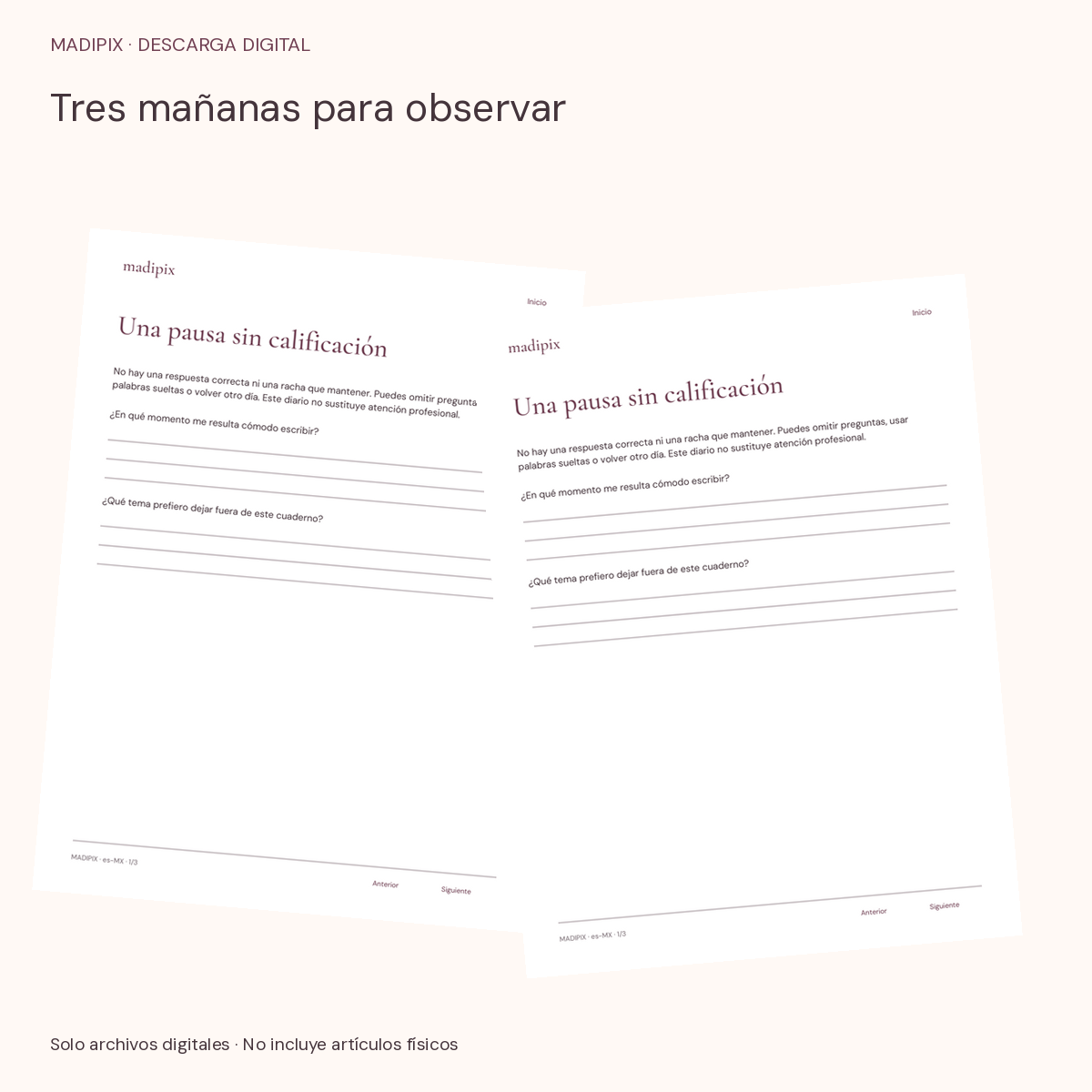 Tres mañanas para observar · vista del archivo real