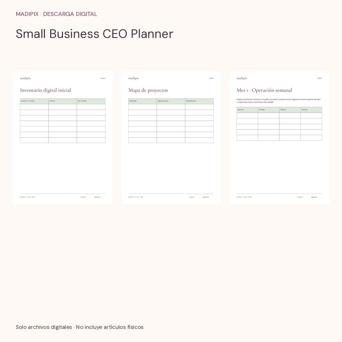 Small Business CEO Planner · vista del archivo real