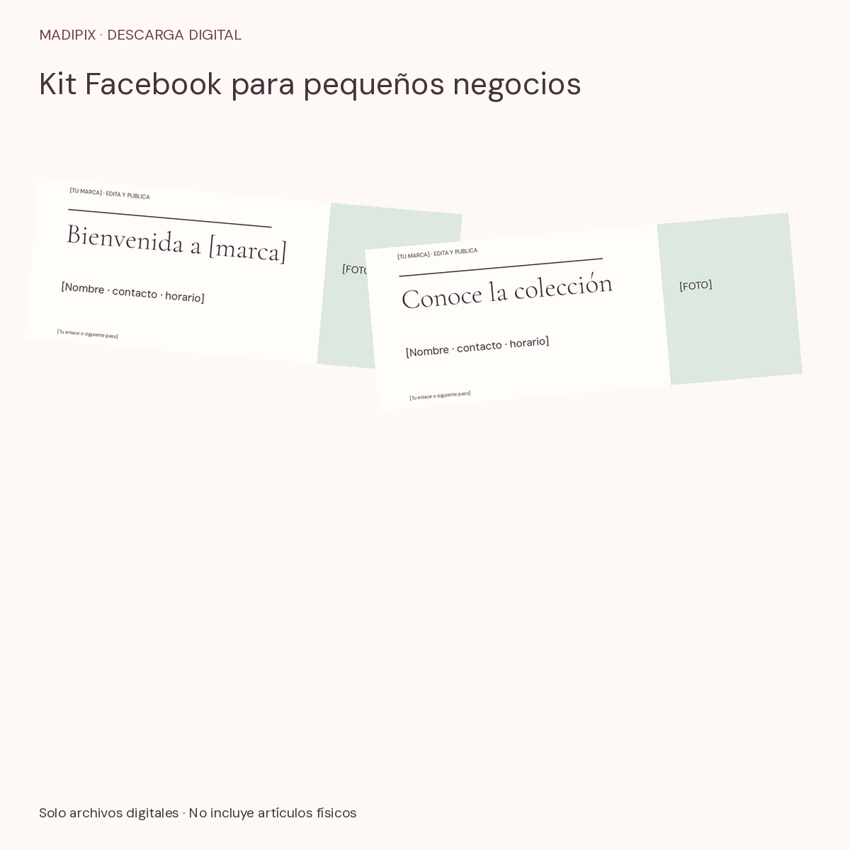 Kit Facebook para pequeños negocios · vista del archivo real