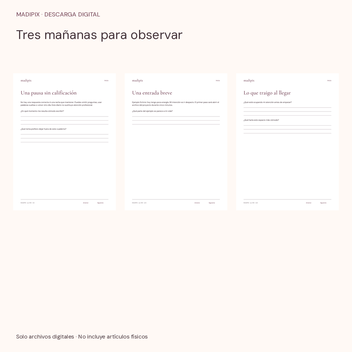 Tres mañanas para observar · vista del archivo real