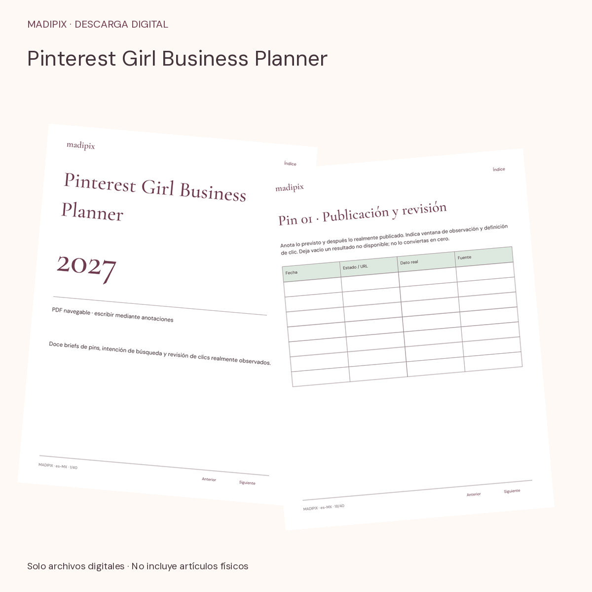 Pinterest Girl Business Planner · vista del archivo real