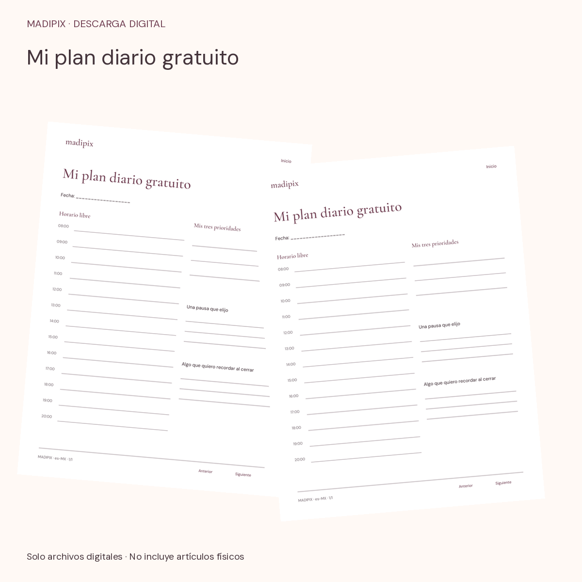 Mi plan diario gratuito · vista del archivo real