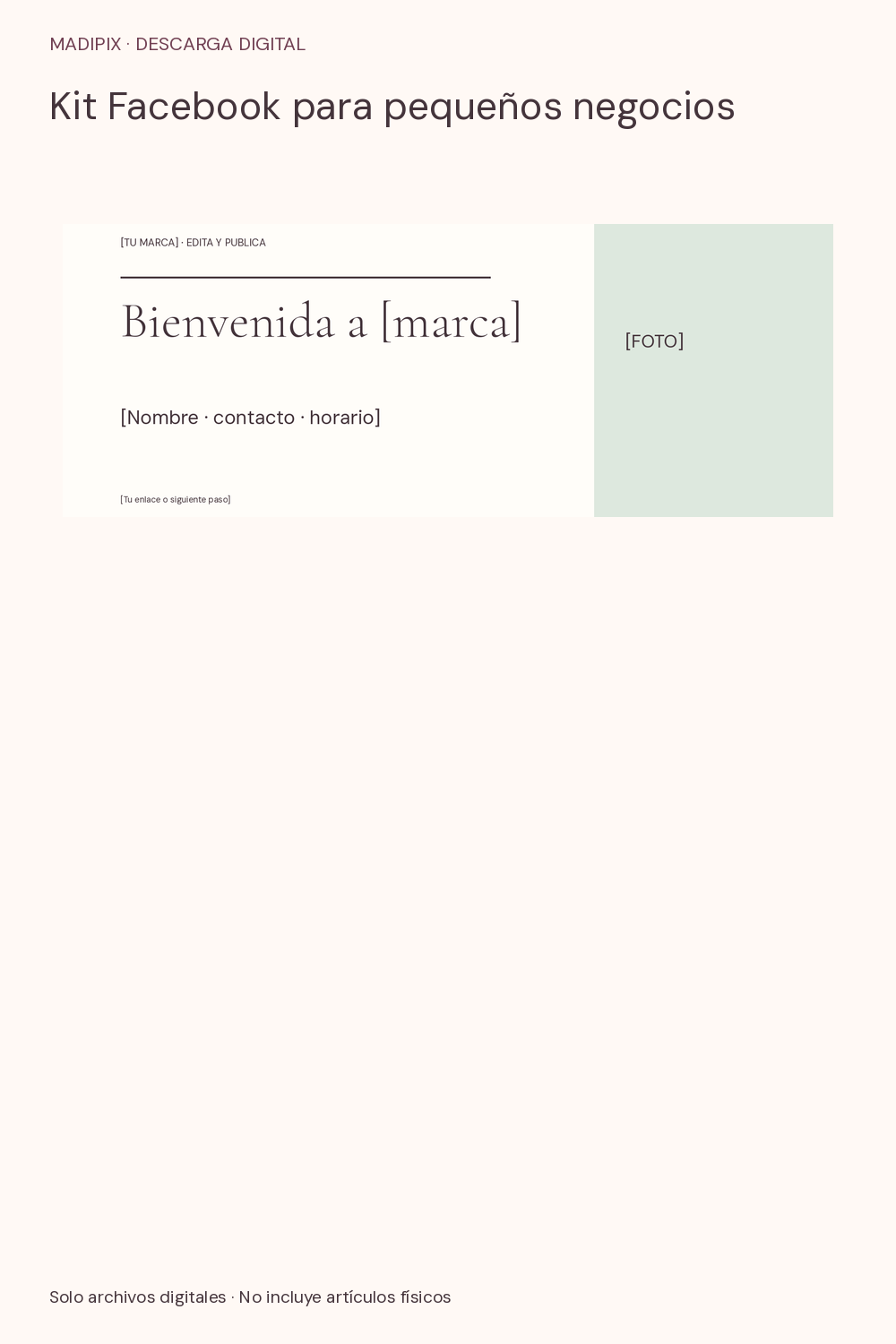 Kit Facebook para pequeños negocios · vista del archivo real