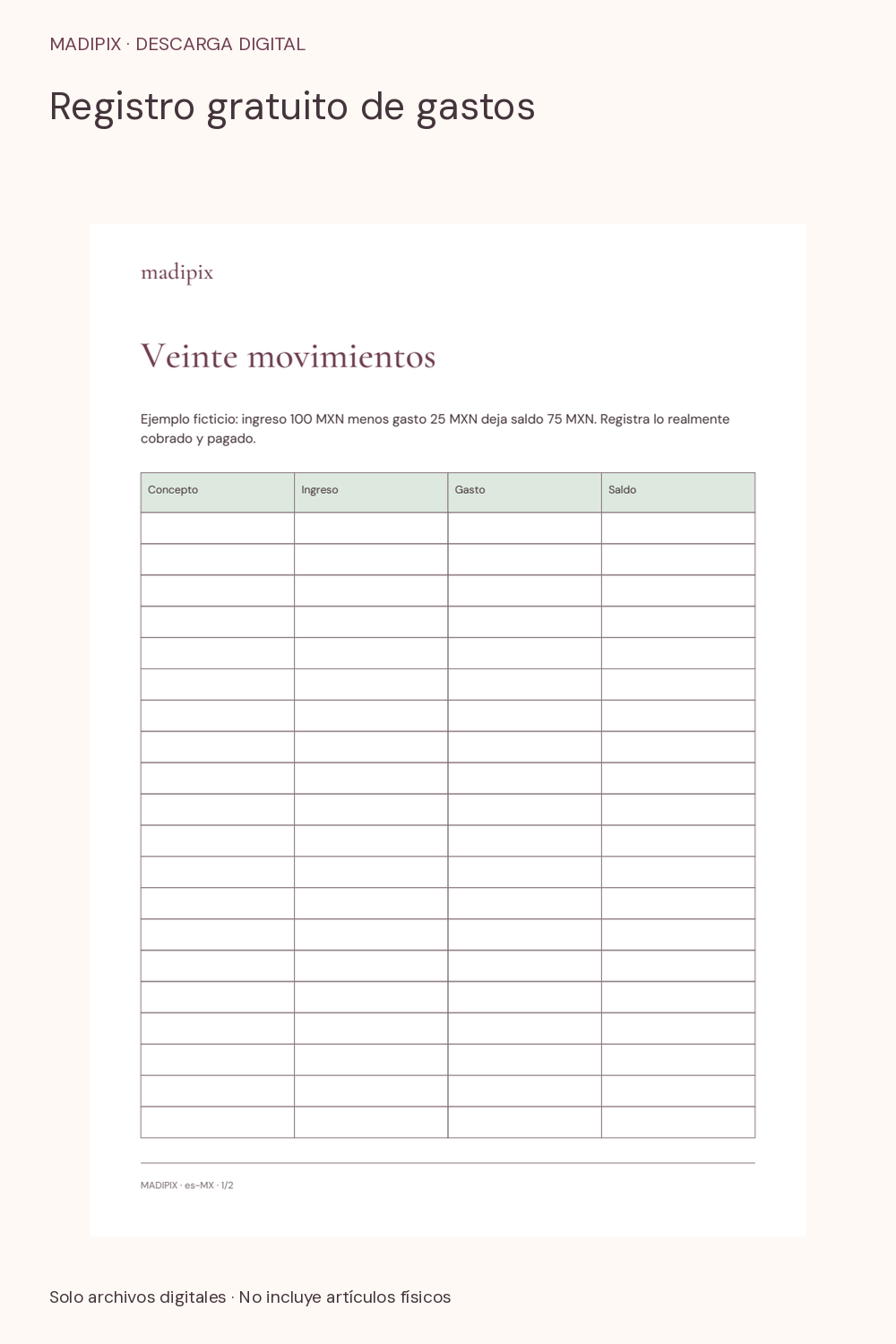 Registro gratuito de gastos · vista del archivo real