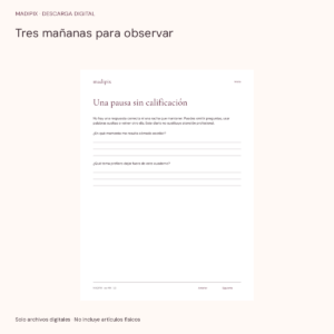 Tres mañanas para observar · vista del archivo real