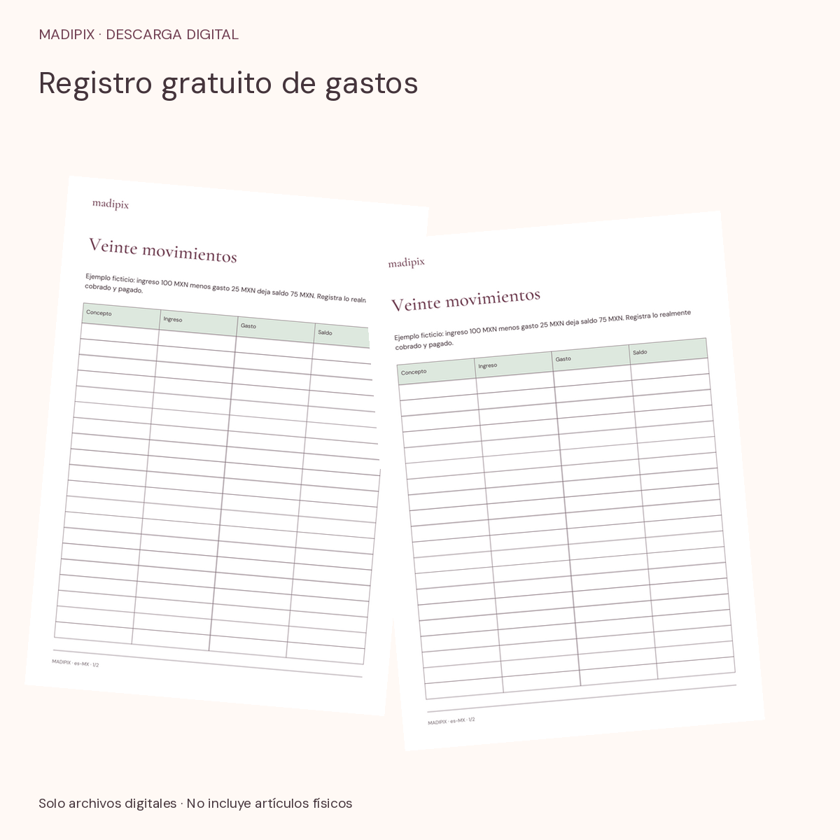 Registro gratuito de gastos · vista del archivo real