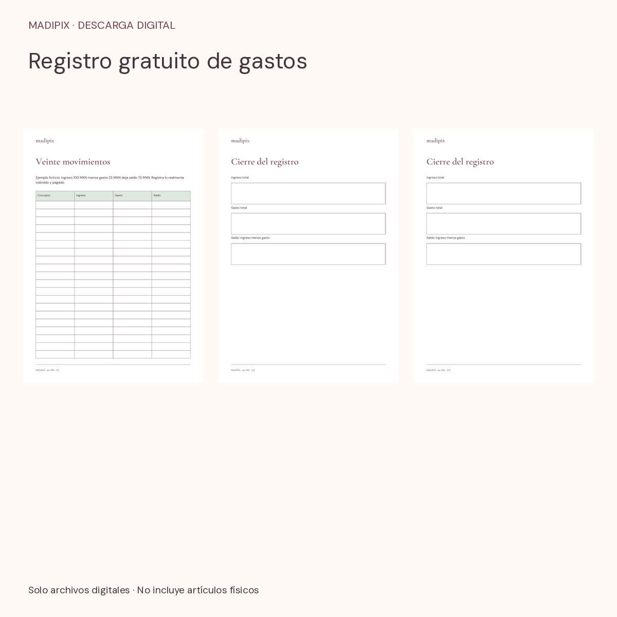 Registro gratuito de gastos · vista del archivo real