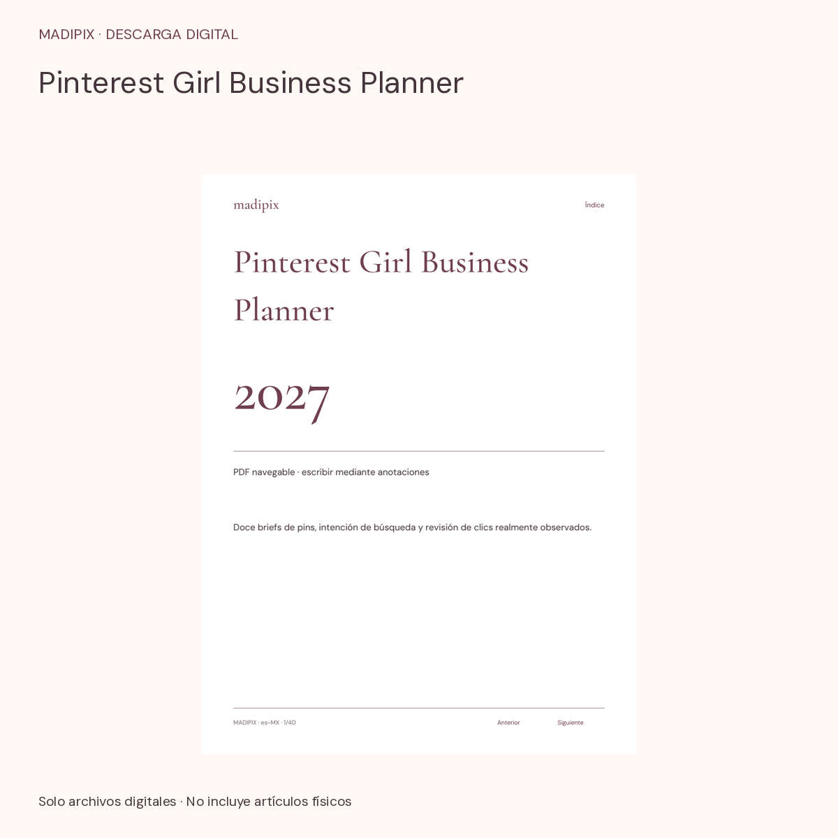 Pinterest Girl Business Planner · vista del archivo real