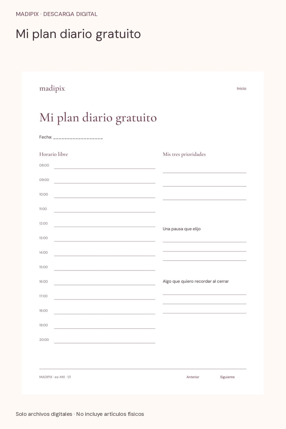 Mi plan diario gratuito · vista del archivo real