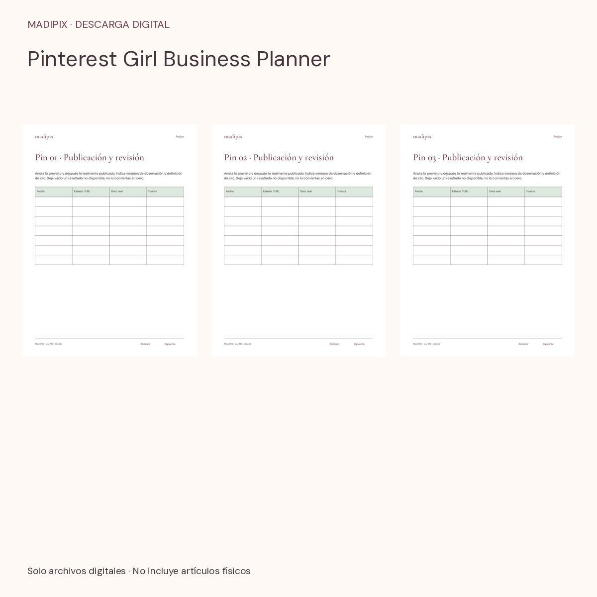 Pinterest Girl Business Planner · vista del archivo real