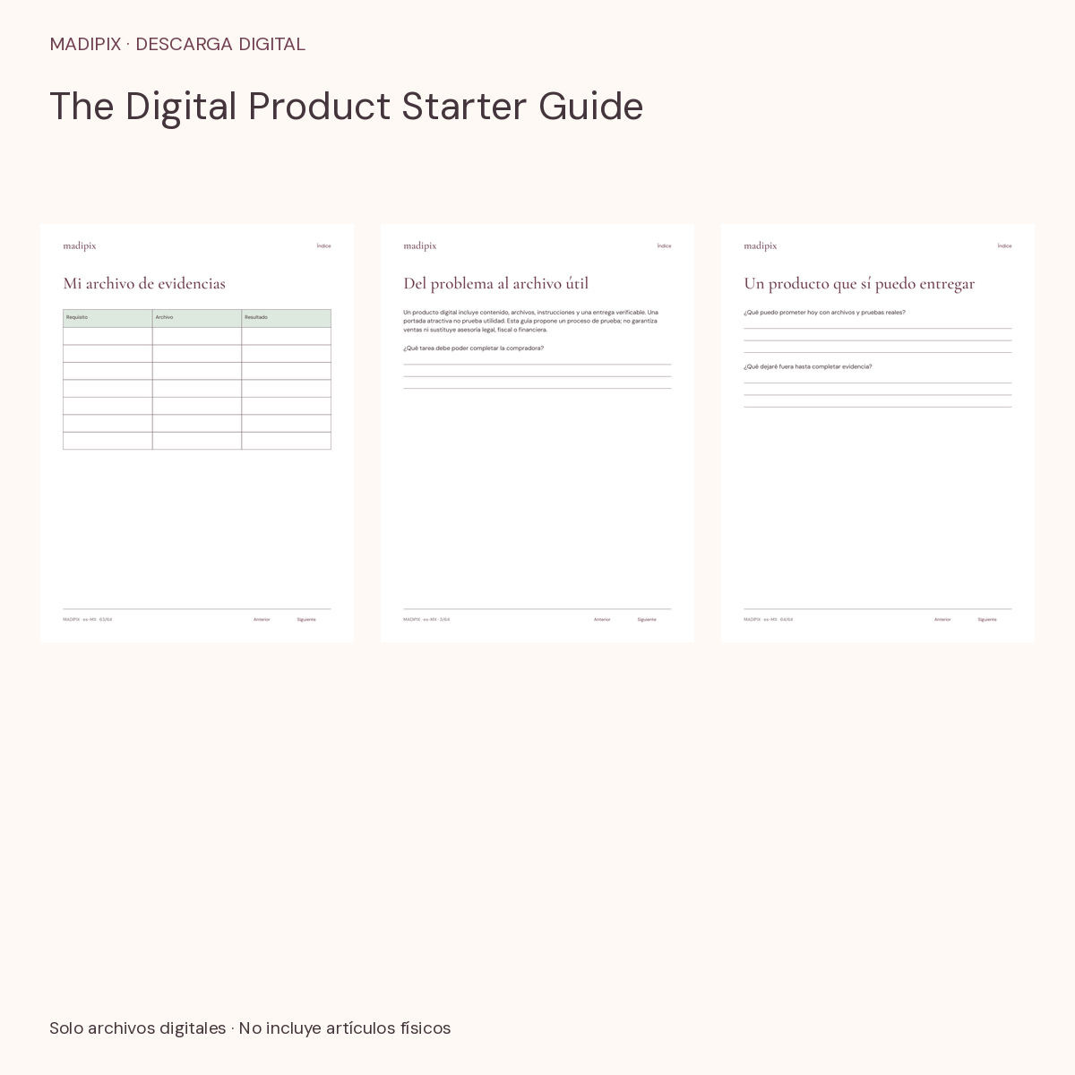 The Digital Product Starter Guide · vista del archivo real